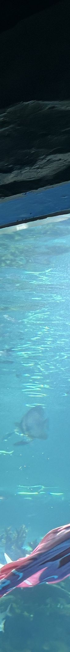 呼和浩特-yan rui lin