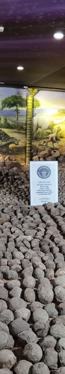 河源恐龙博物馆-河源-wilson-x