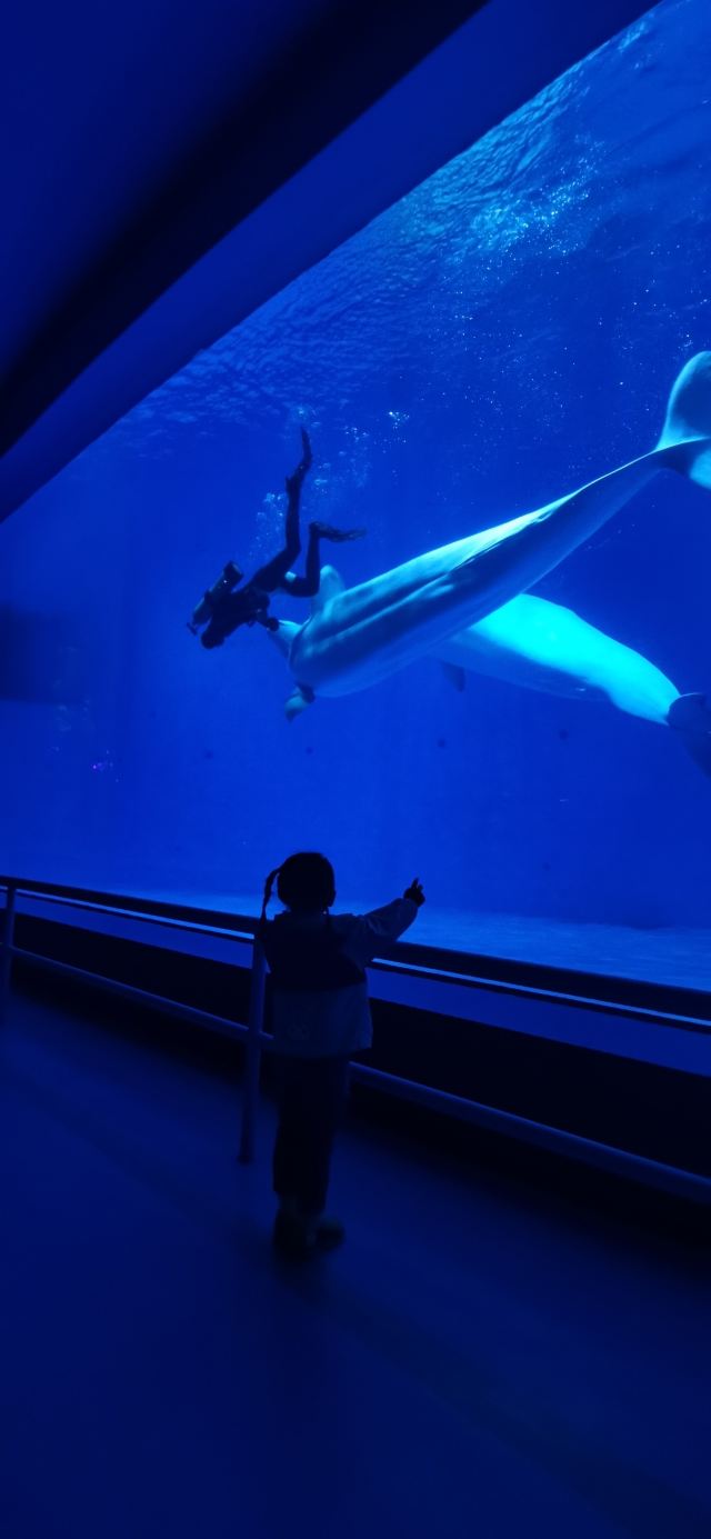 福州欧乐堡海洋世界旅行图片 1