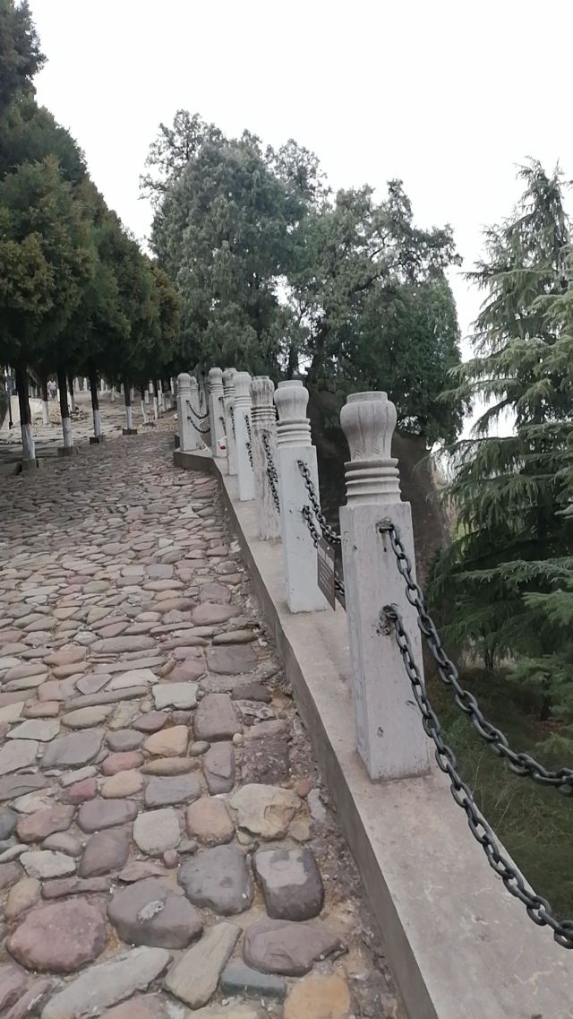 司马迁祠景区旅行图片 5