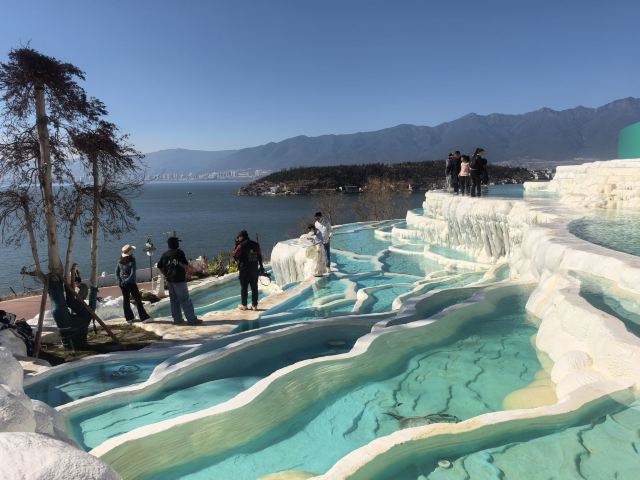 理想的花园旅行图片 1