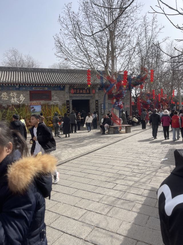 洪洞大槐树寻根祭祖园旅行图片 3