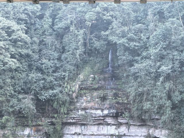 碧峰峡风景区旅行图片 4