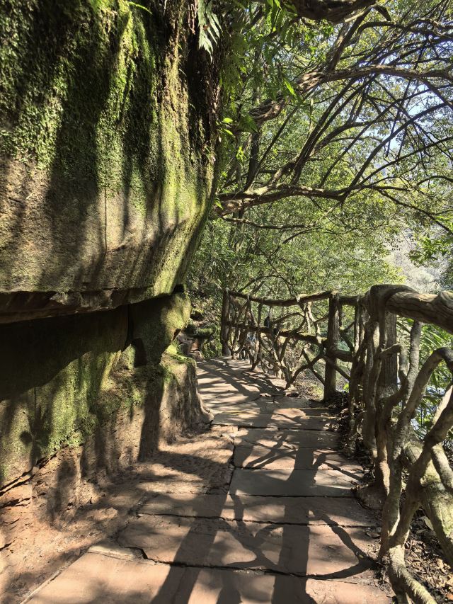 碧峰峡风景区旅行图片 5
