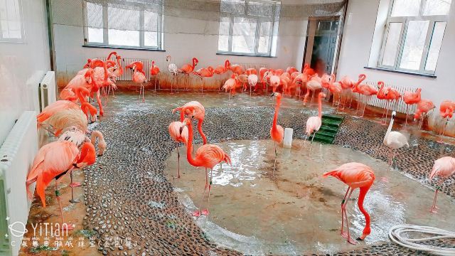 长春市动植物公园旅行图片 7