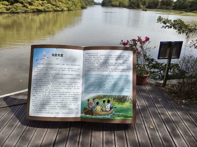 小鸟天堂旅行图片 2