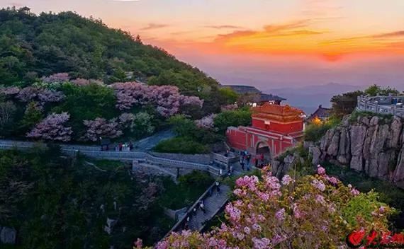 泰安泰山风景区游玩攻略简介,泰安泰山风景区门票/地址/图片/开放时间/照片/门票价格【携程攻略】