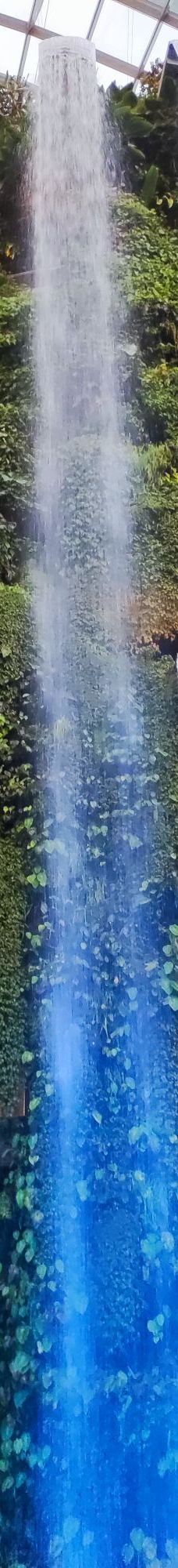 云雾林-新加坡-YoYo_4F5Y8C8Q