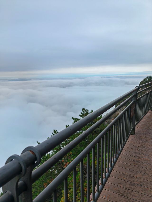 天岳幕阜山森林公园旅行图片 2