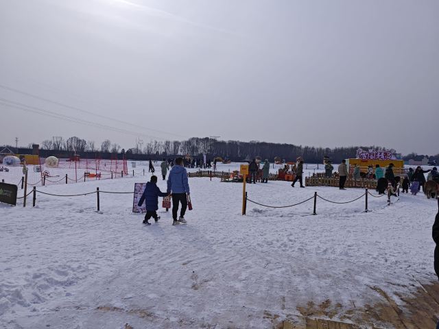 太原康培稻田公园旅行图片 2