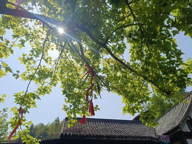 虔心小镇腐竹坊旅行图片 3