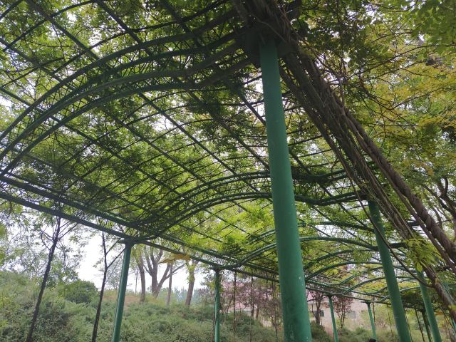 衡水野生动物园旅行图片 2