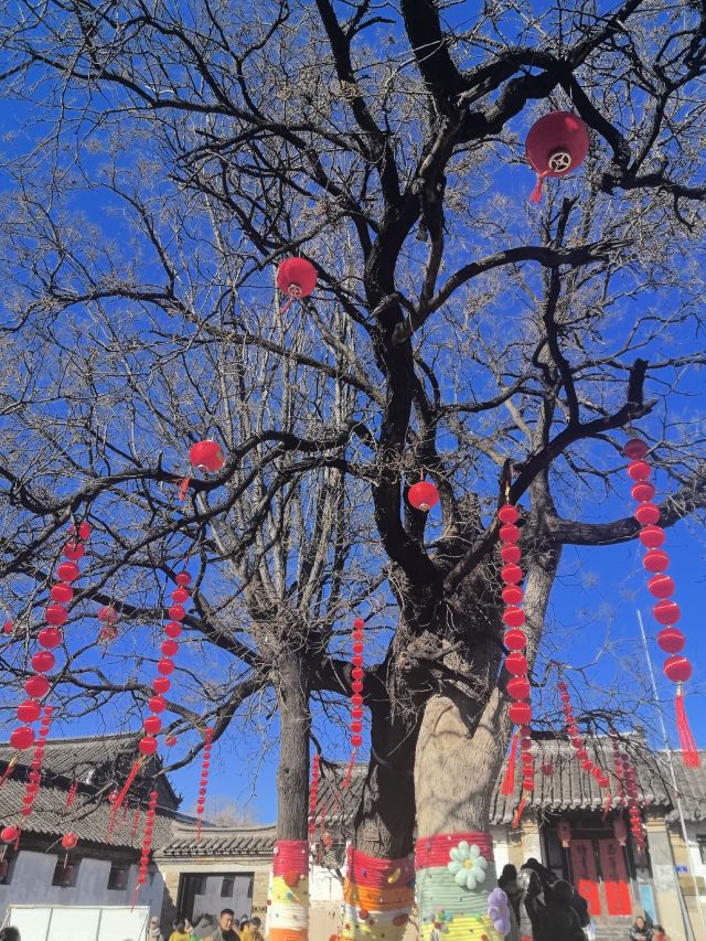牟氏庄园旅行图片 3