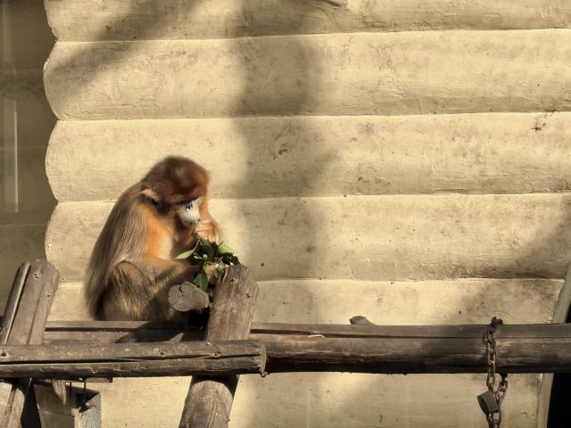 西安秦岭野生动物园旅行图片 7