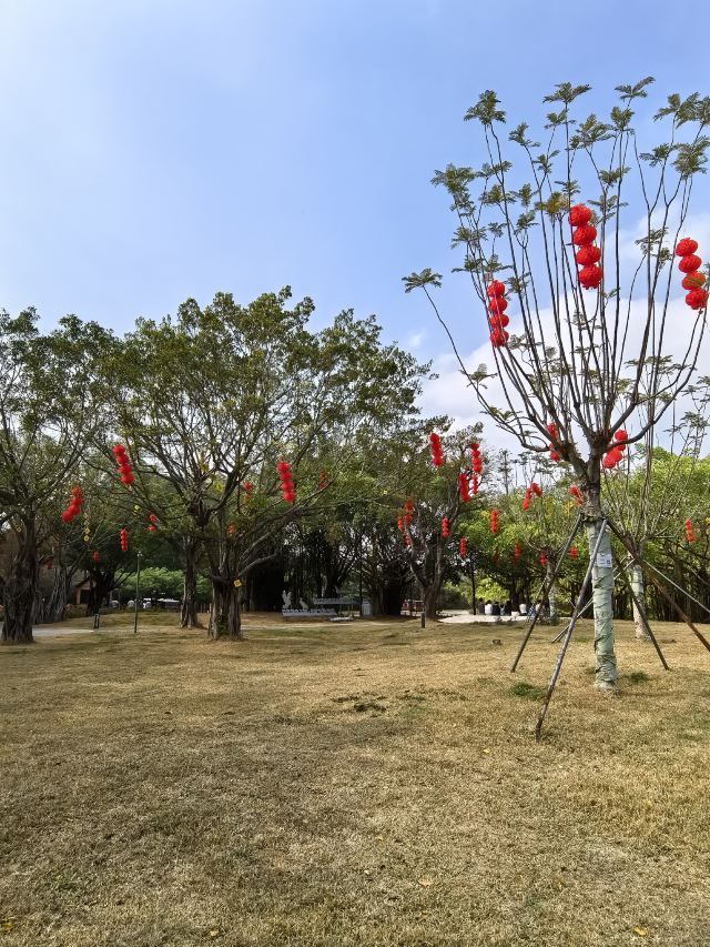 小鸟天堂旅行图片 9
