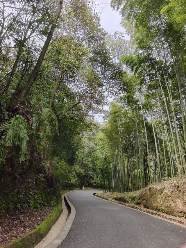 碧峰峡风景区旅行图片 2