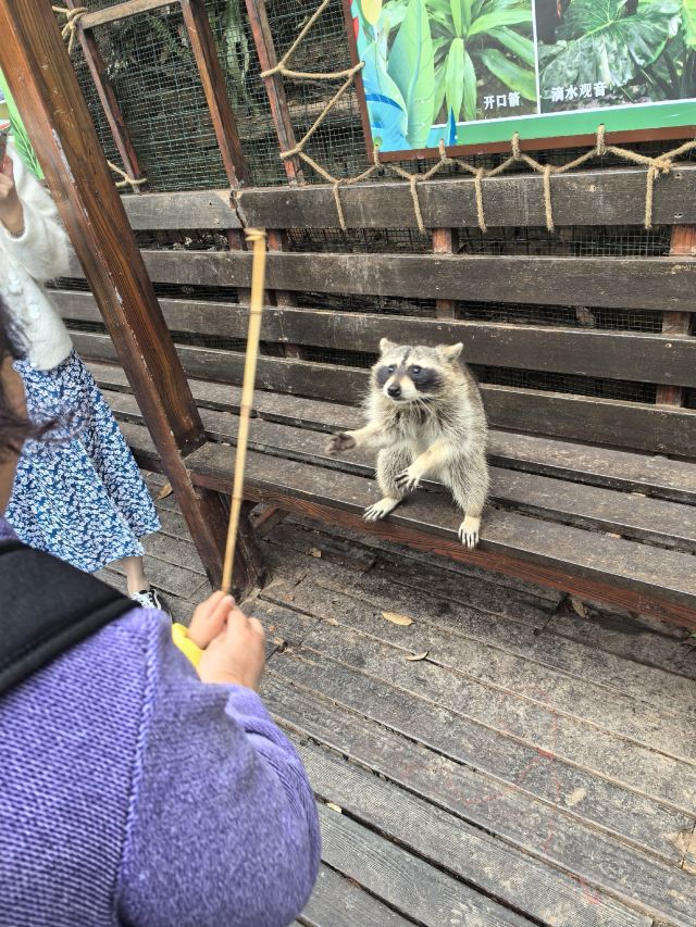 普洱太阳河森林公园旅行图片 7