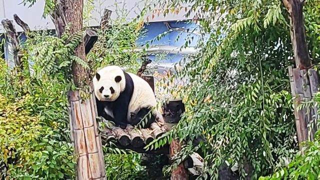 西宁野生动物园旅行图片 5