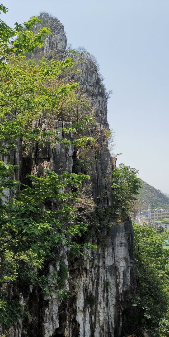 南溪山公园旅行图片 2