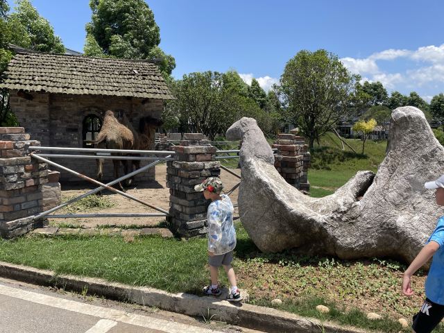 光年城堡景区旅行图片 4