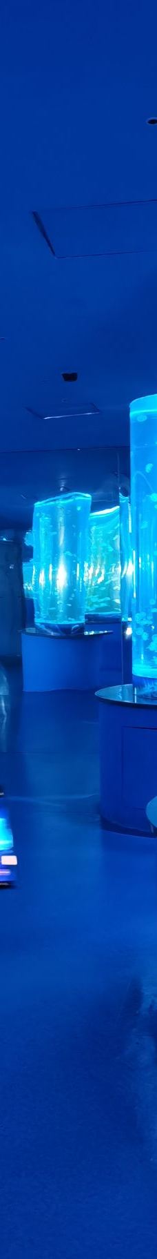 呼和浩特-YoYo_2X7W5Z8U