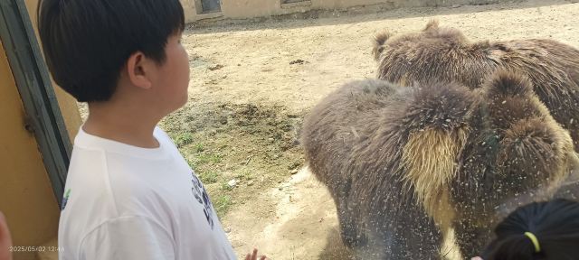 九江野生动物世界旅行图片 1