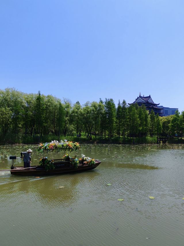 长兴太湖图影湿地文化园-观景塔旅行图片 5