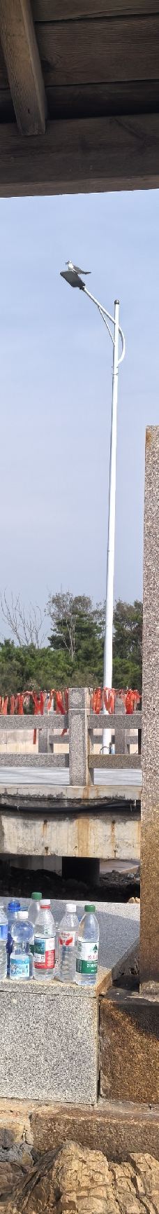 星岛·桃花岛风景区-日照-ENSI