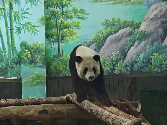 温州动物园旅行图片 4