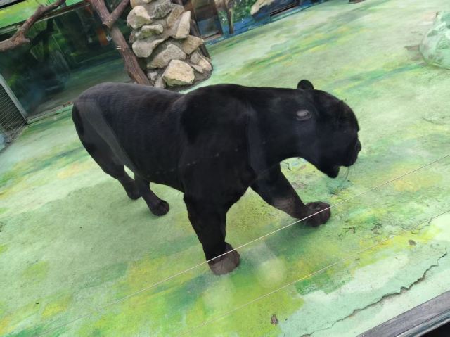 西安秦岭野生动物园旅行图片 2