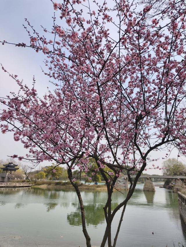尚湖风景区旅行图片 7