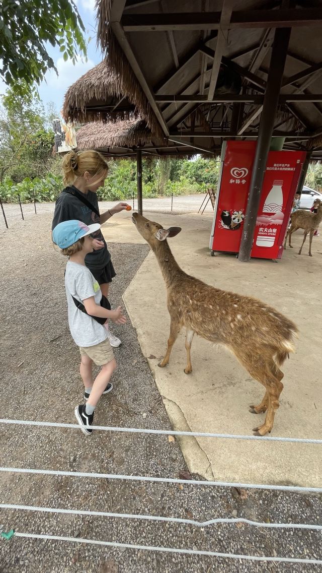 海南热带野生动植物园旅行图片 3