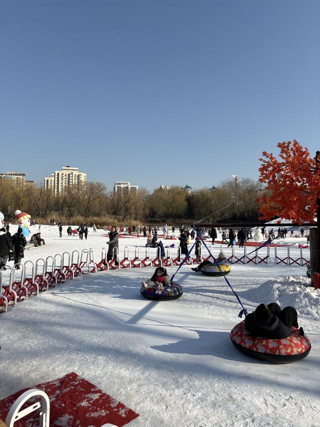 柳荫公园旅行图片 2
