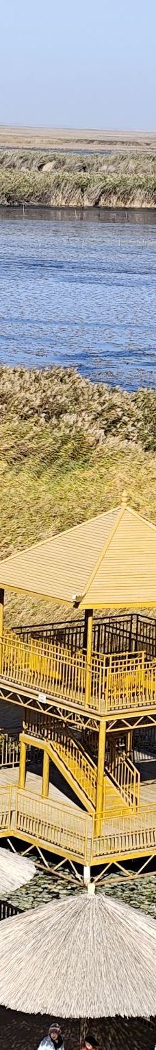 莲海世界-博湖-je****a