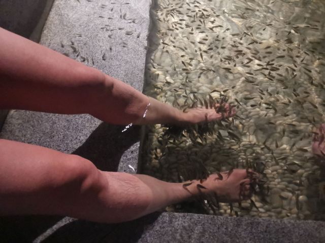 温泉公园旅行图片 2