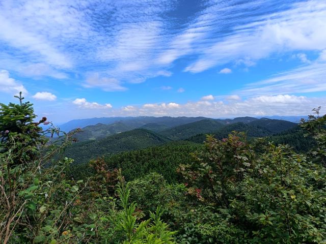 武陵山国家森林公园旅行图片 3
