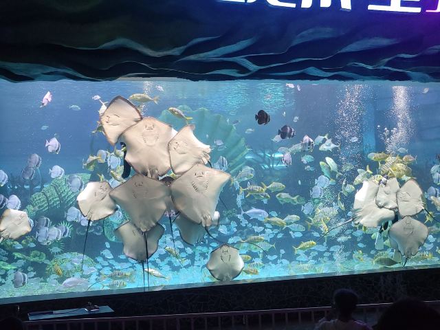 徐州欧乐堡海洋极地世界旅行图片 6