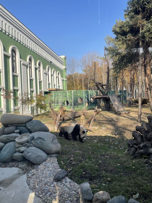 太阳岛大熊猫馆旅行图片 2