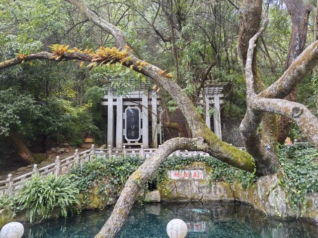 蝴蝶泉旅行图片 3
