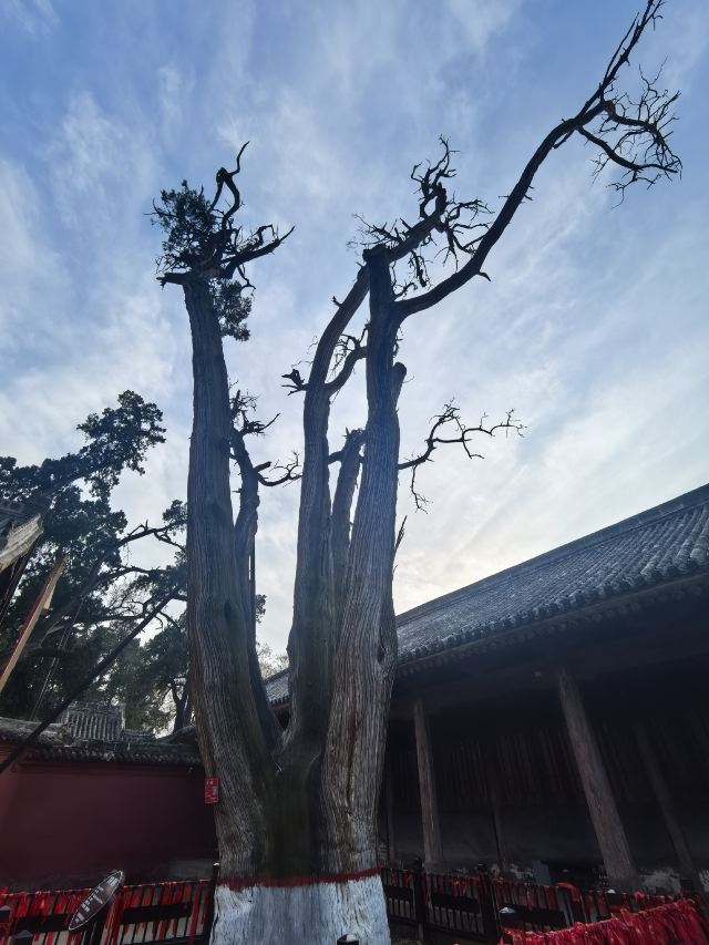 韩城古城旅行图片 4