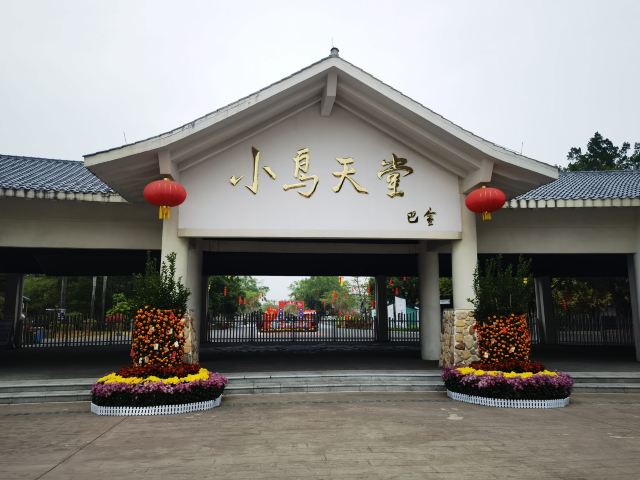 小鸟天堂旅行图片 6