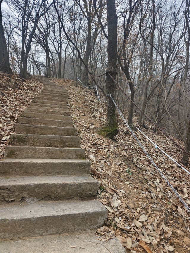古大散关遗址森林公园旅行图片 2