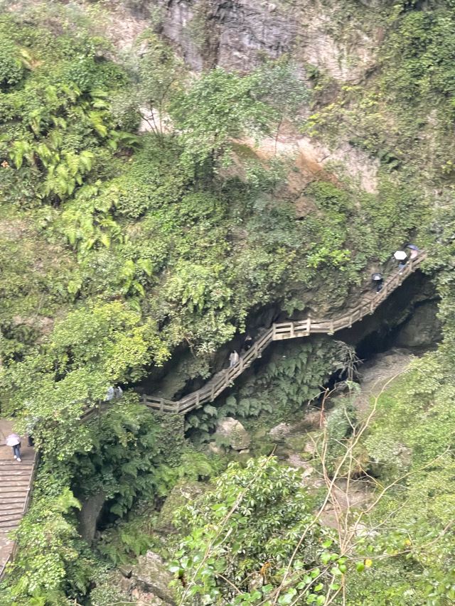 武隆喀斯特旅游区旅行图片 3