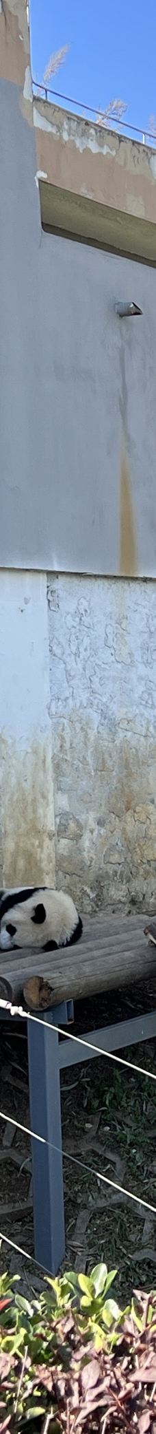 秦岭四宝科学公园-周至-平淡的美0810