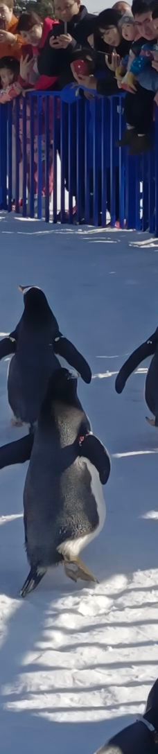 大黑河-呼和浩特-YoYo_6H9I5V0G