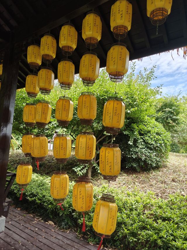 长兴太湖图影湿地文化园-观景塔旅行图片 2