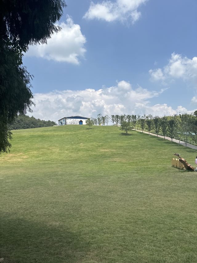 贵州·羊驼小镇旅游景区旅行图片 2