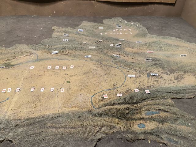吐鲁番郡王府旅行图片 4