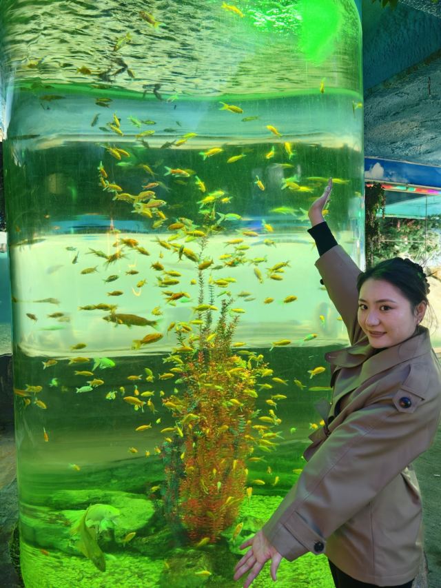 西霞口神雕山野生动物世界奇遇乐园旅行图片 1