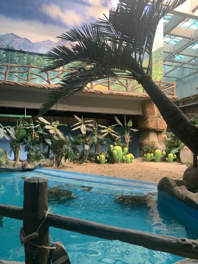 福州欧乐堡海洋世界旅行图片 2